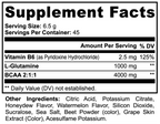 BCAA Recovery Powder — Honeydew Watermelon